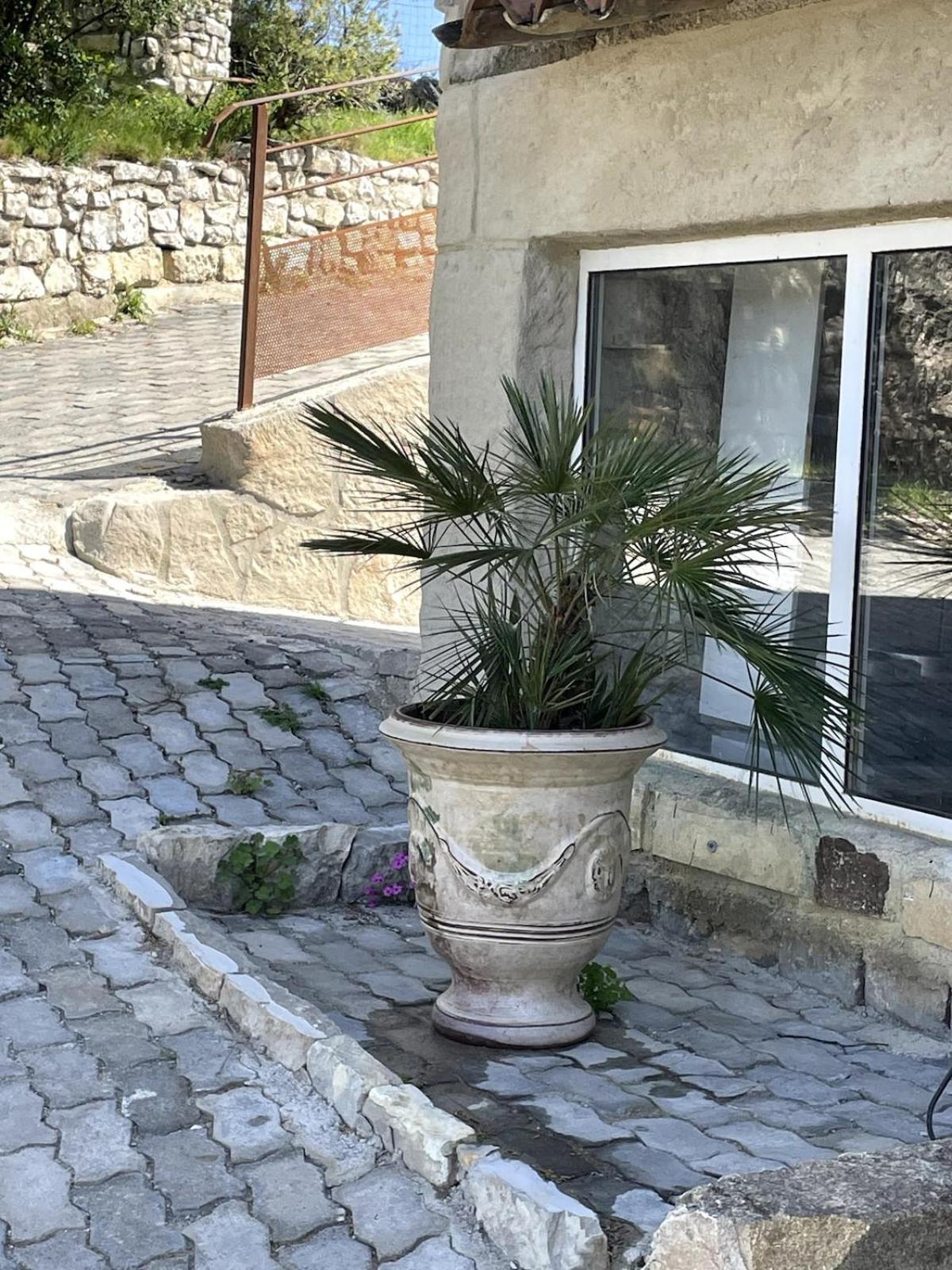 Le Castellas - Gite En Pleine Nature Montmirat Exterior foto